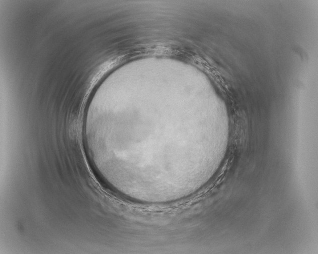 X0000115330003200911301536