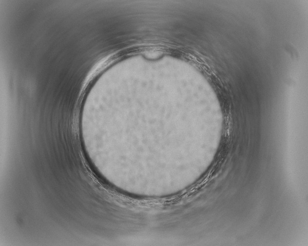 X0000115330004200911301536