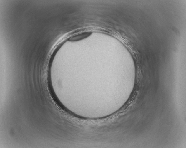 X0000115330007200911301536