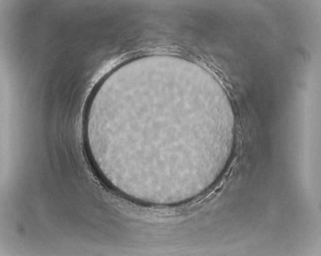 X0000115330008200911301536