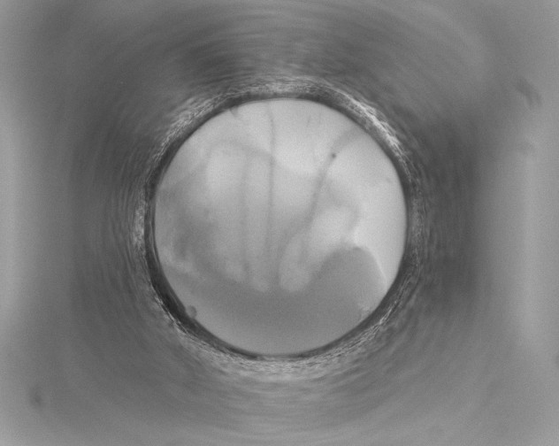 X0000115330010200911301536