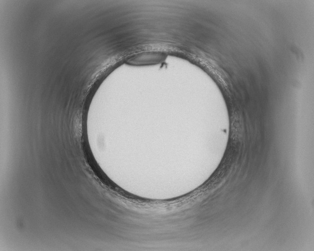 X0000115330015200911301536