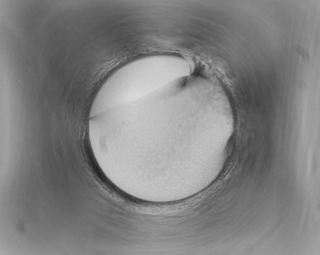 X0000115330017200911301536