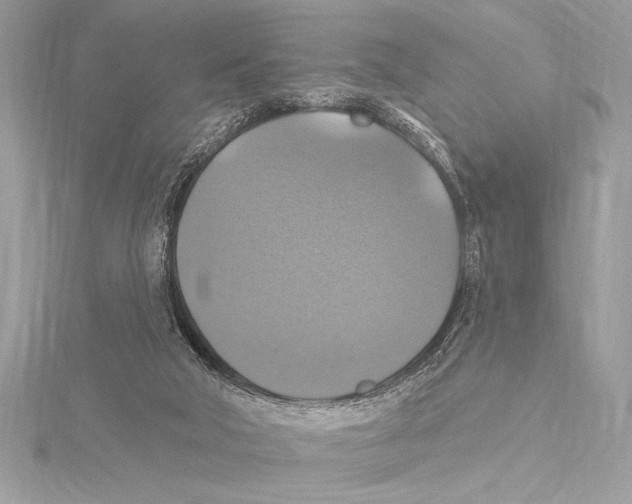 X0000115330018200911301536