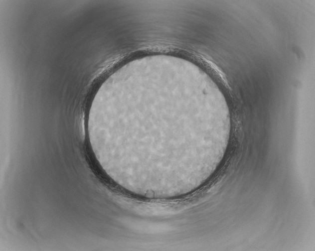 X0000115330020200911301536