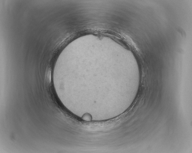 X0000115330021200911301536