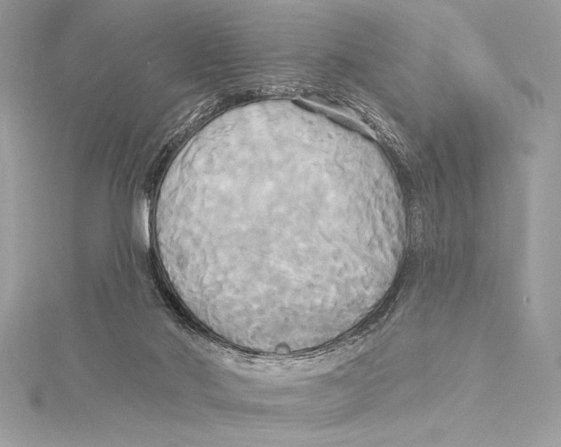 X0000115330022200911301536