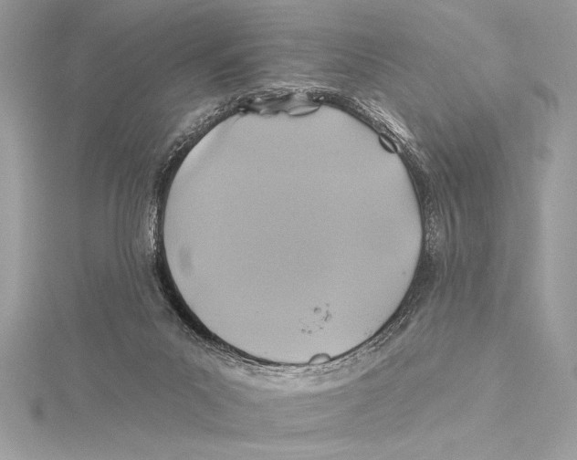 X0000115330023200911301536