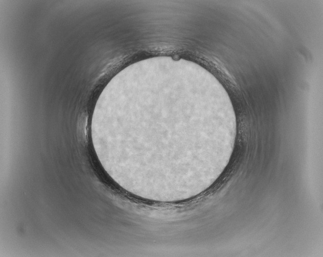 X0000115330024200911301536