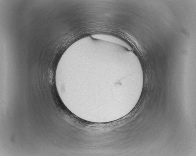 X0000115330025200911301536