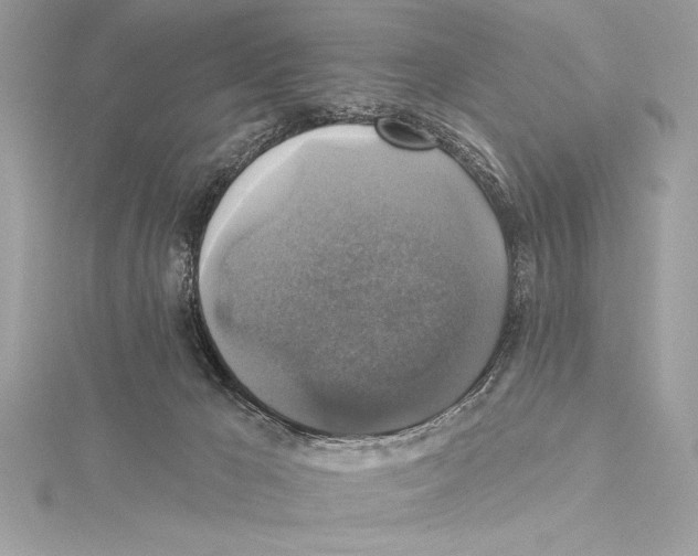 X0000115330029200911301536