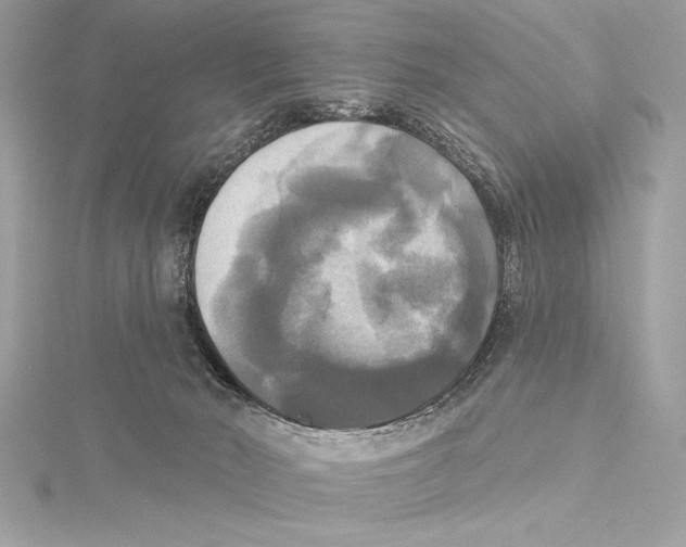 X0000115330030200911301536