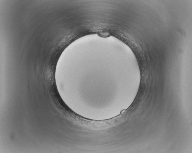 X0000115330031200911301536