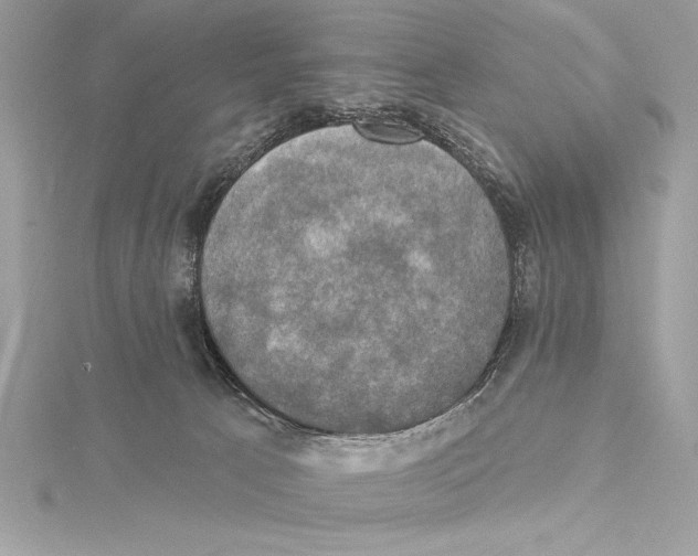 X0000115330033200911301536