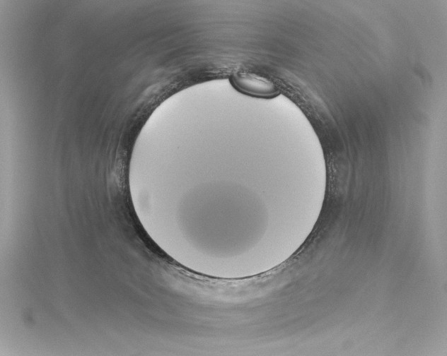 X0000115330035200911301536