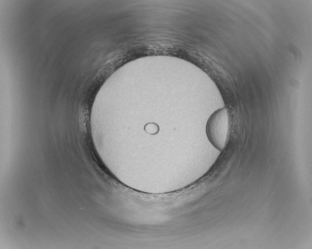 X0000115330038200911301536