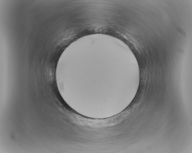 X0000115330039200911301536