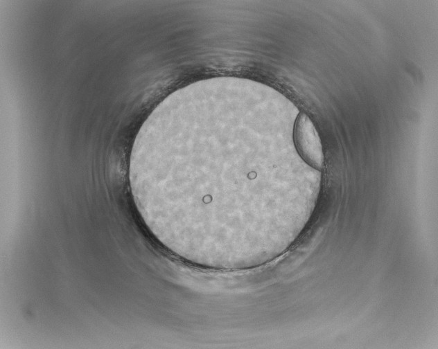 X0000115330040200911301536