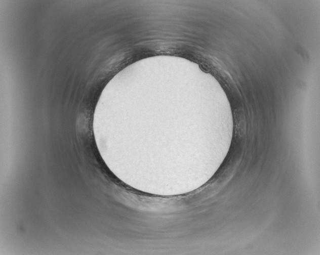 X0000115330044200911301536