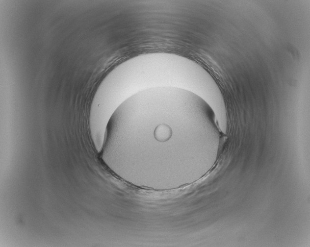 X0000115330045200911301536