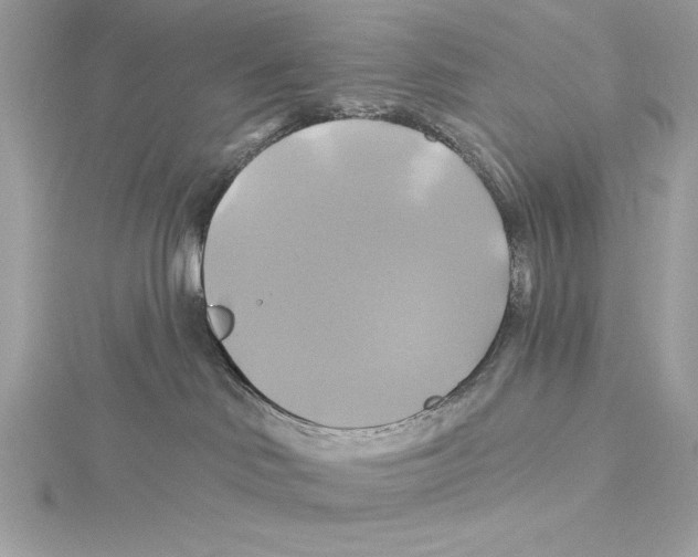 X0000115330046200911301536