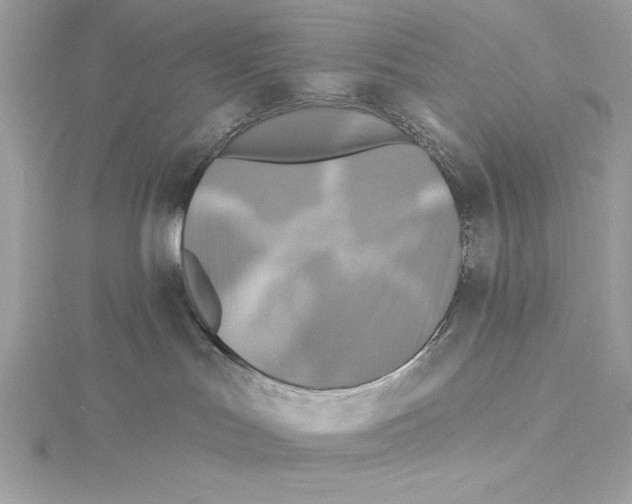 X0000115330047200911301536