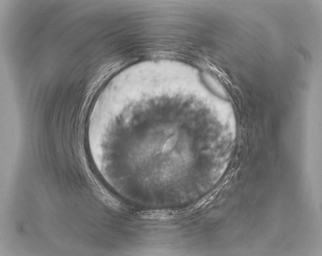 X0000115330049200911301535