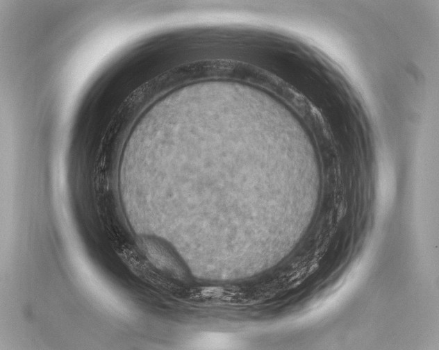 X0000115330050200911301535