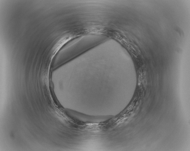 X0000115330052200911301535