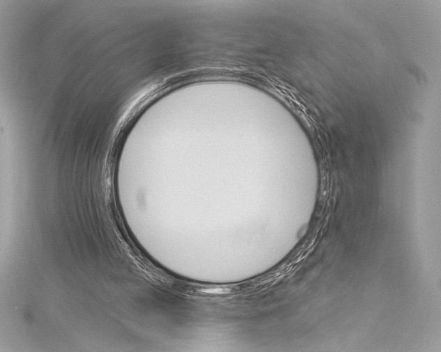 X0000115330053200911301535