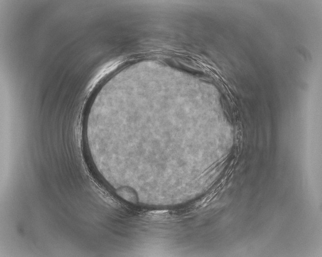 X0000115330054200911301535