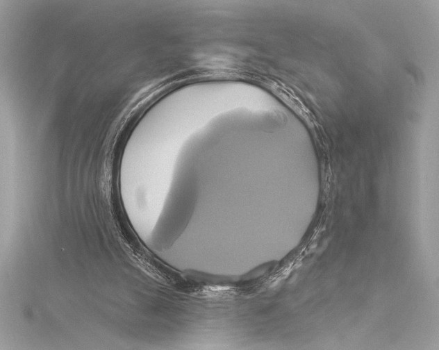 X0000115330055200911301535