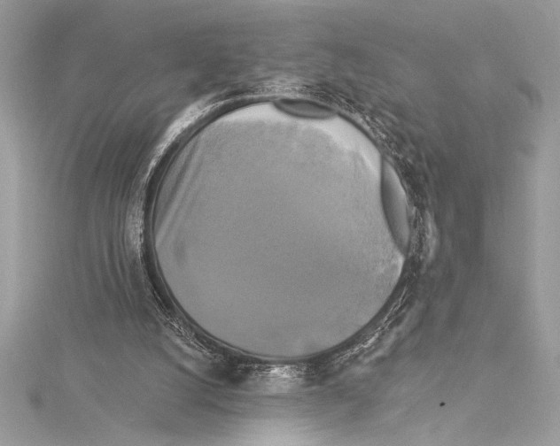 X0000115330056200911301535