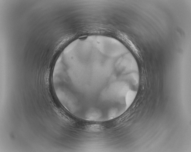 X0000115330058200911301535