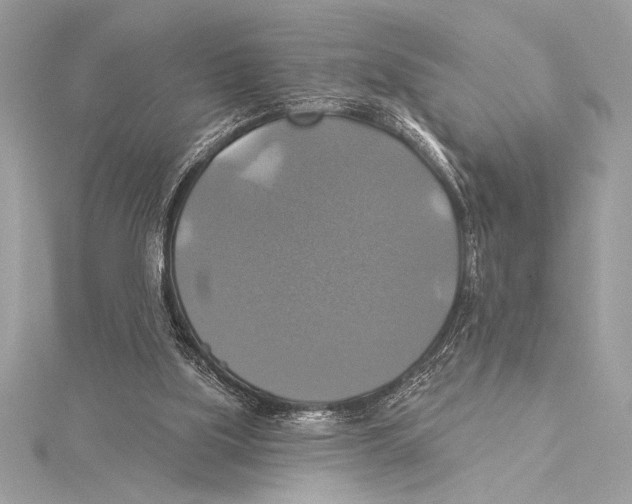 X0000115330059200911301535