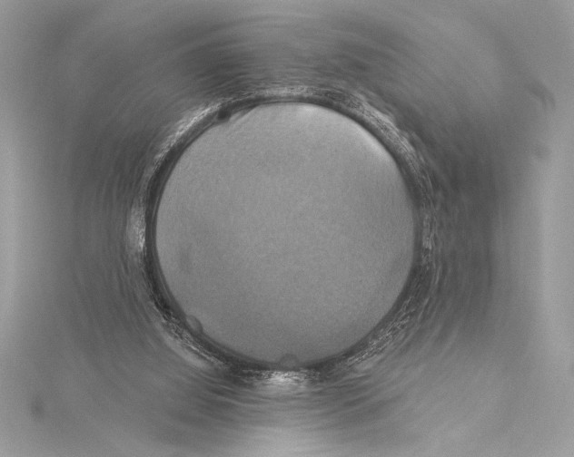 X0000115330060200911301535