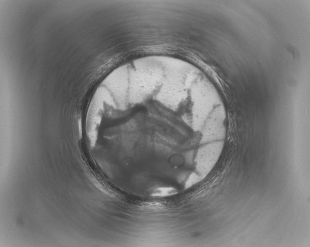 X0000115330061200911301535