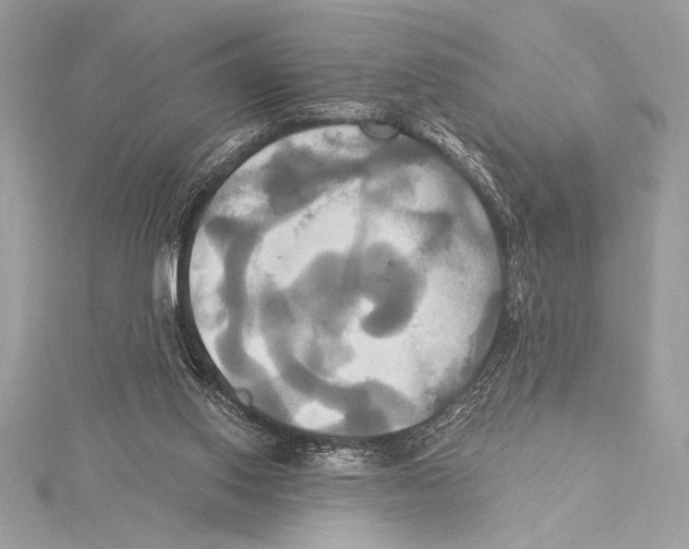 X0000115330062200911301535