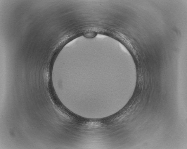 X0000115330063200911301535