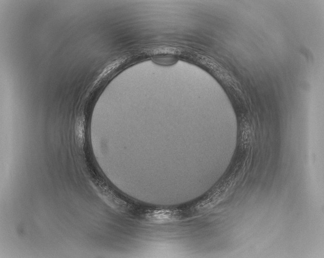 X0000115330064200911301535