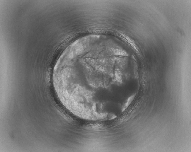 X0000115330065200911301535