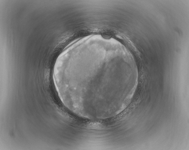 X0000115330066200911301535