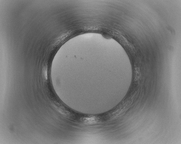 X0000115330068200911301535