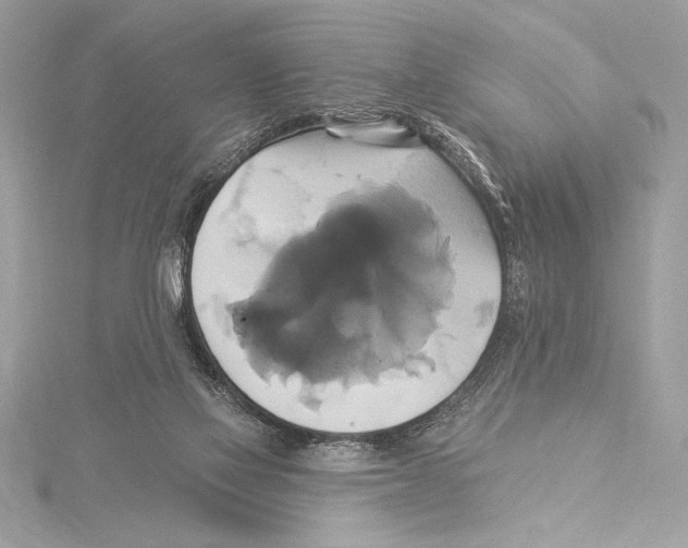 X0000115330069200911301536