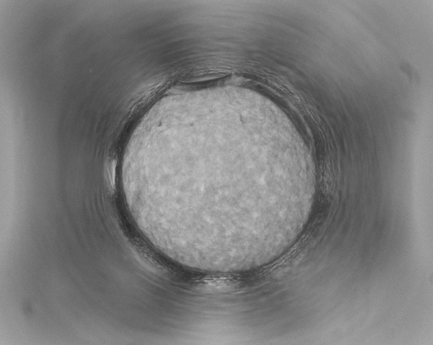 X0000115330070200911301536