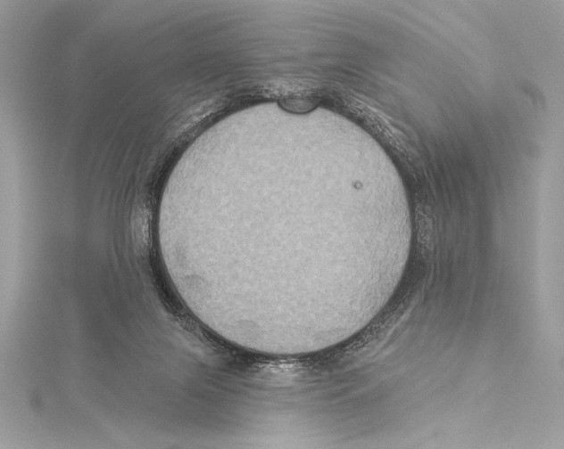 X0000115330071200911301536