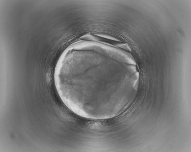 X0000115330074200911301536