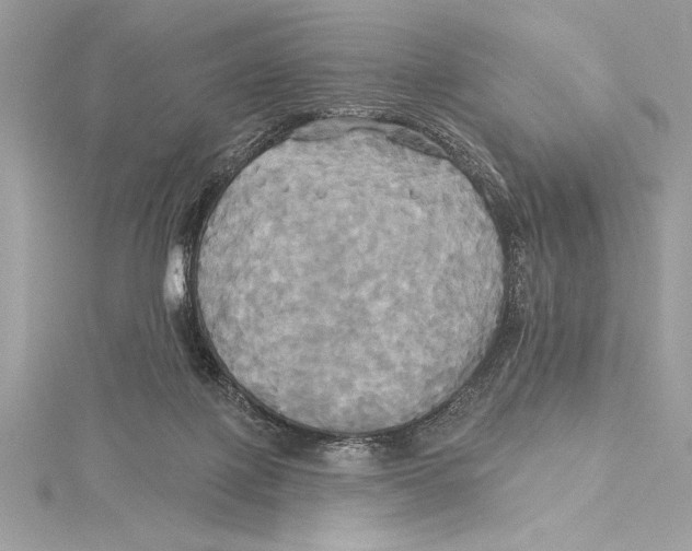 X0000115330075200911301536