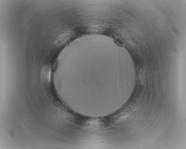 X0000115330076200911301536