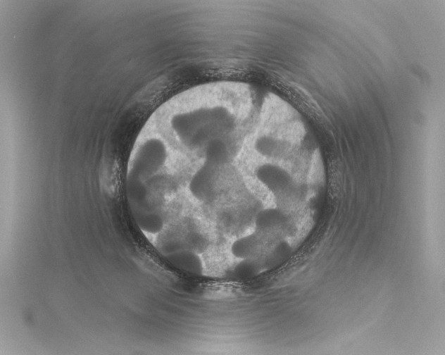 X0000115330077200911301536